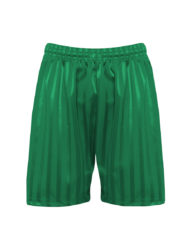 Bottle Green Shadow Stripe PE Shorts