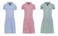 Blue, Red or Green Gingham Dress - Aspin Park Academy