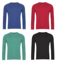 Royal, Red, Jade or Black Classic Sweatshirt - Aspin Park Academy