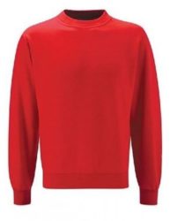 Red Beezer Sweatshirt - Welburn CP School