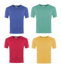 House PE T-Shirt - Applegarth Primary School