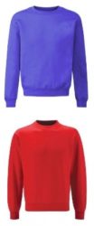 Electric Blue or Red Beezer Sweatshirt - Dunnington Primary School