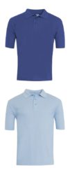 Sky Blue or Royal Blue Classic Polo Shirt - Leyburn CE Primary School