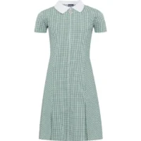 Green Gingham Dress - Thirsk CP School