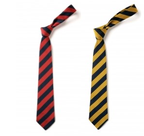 Lower/Upper School Clip on Tie - Thirsk School