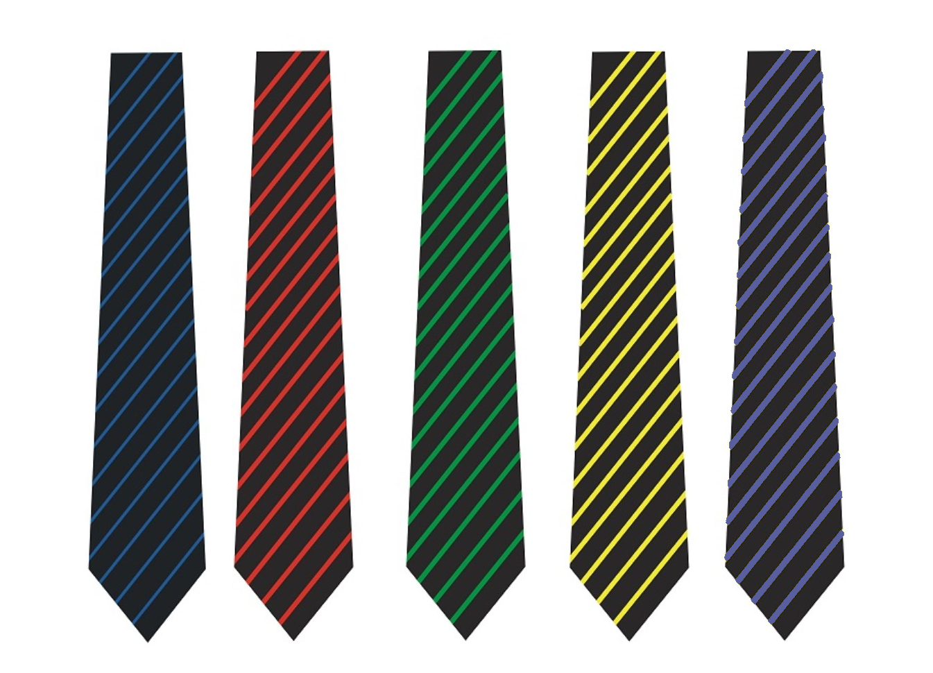 Year Group Tie - York High School (Compulsory Item)