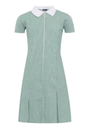 Green Gingham Dress - Eppleby Forcett & Middleton Tyas CE Primary Schools