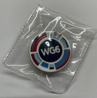WG6 Pin Badge - Wilmington Grammar Schools 6th Form